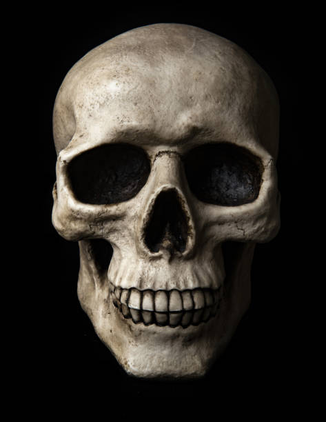 istock Scary human skull on a black background 1280882574