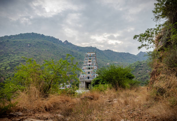marudhamalai Temple coimbatore with hill in background and bush in front of the temple this is the image of marudhamalai Temple coimbatore tamilnadu india. Image is taken with hill in background and bush in front of the temple, chennai photos stock pictures, royalty-free photos & images
