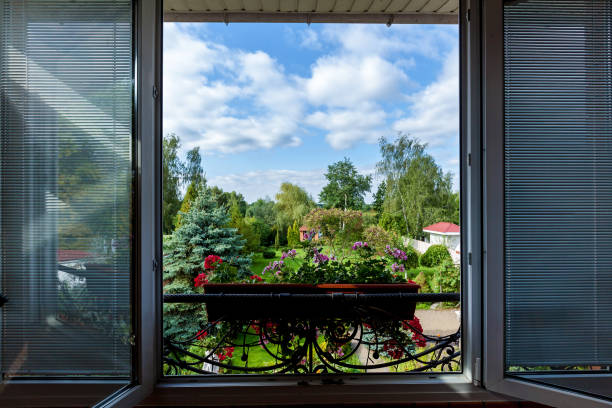 istock flowers on the windowsill 1280884225
