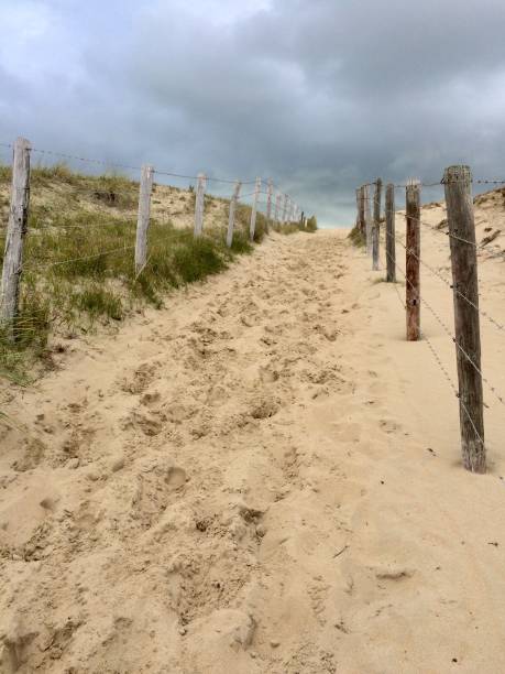istock Sand dunes and fence 1280885255