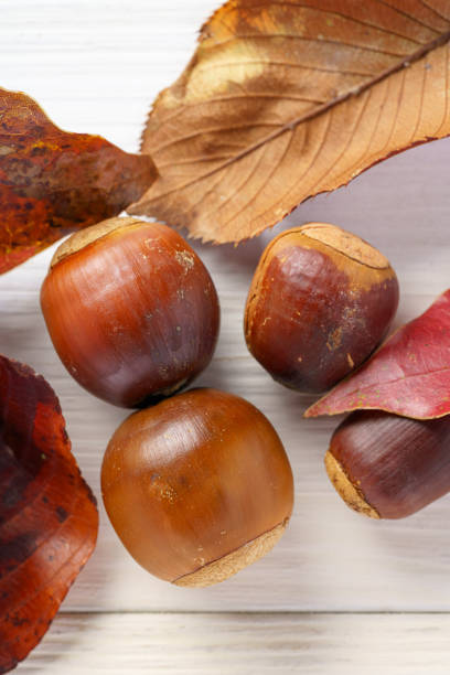 istock Acorns and fallen leaves on wooden background 1280885995