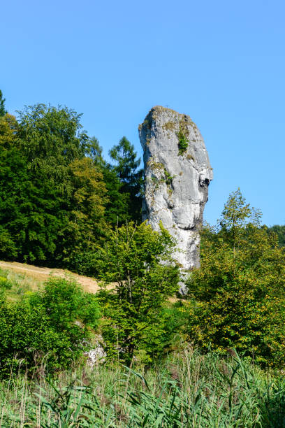 istock Ojcow National Park, Poland 2020. 1280888668