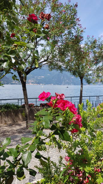 istock View on lake Como Italy 1280891074