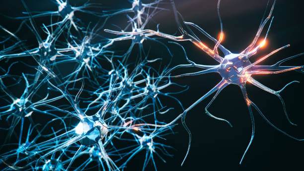 Neuron system disease Neuron cells system disease - 3d rendered image of Neuron cell network on black background. Interconnected neurons cells with electrical pulses. Conceptual medical image.  Glowing synapse.  Healthcare, disease concept. axon terminal stock pictures, royalty-free photos & images