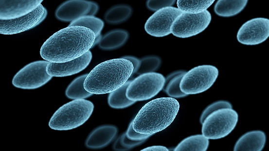 Colony of Staphylococcus aureus bacteria, multidrug resistant bacteria. 3D illustration
