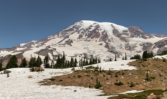 An image of Mt. Rainier