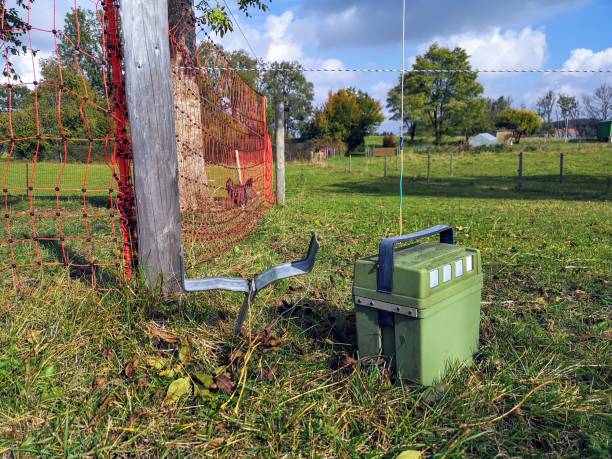 istock Electro powered fence for animals 1280899160