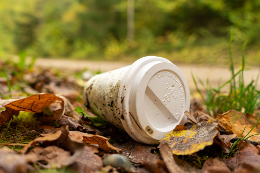 Old disposable coffee cup in the forest. Plastic recycling, pollution and global warming theme. Take away food industries impact on the environments.