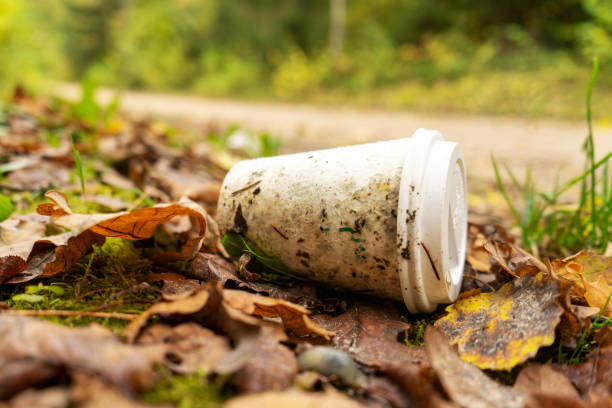 istock Old disposable coffee cup in the forest. 1280899438