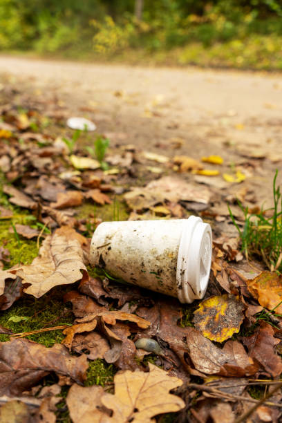 istock Old disposable coffee cup in the forest. 1280899452
