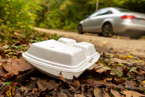 istock Old disposable plastic plate, box in the forest. 1280899494