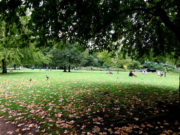 istock Autumn in the park 1280903019
