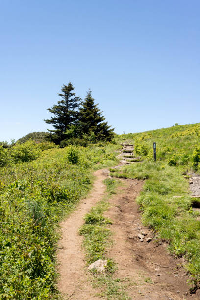 istock Dirt track leading up a hill with an Appalachian trail marker 1280903055