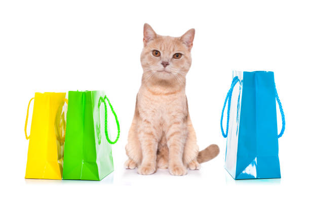 cat with shopping bags ready for discount and sale at the  mall, isolated on white background