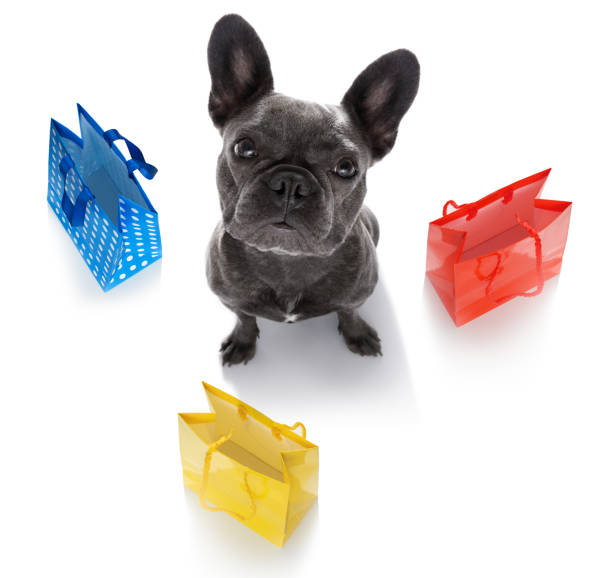 istock sale shopping dog 1280905433