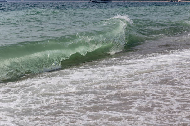 Beach waves running over gator boots