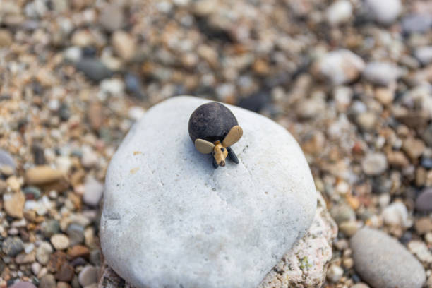 Figurine made of pebbles on the beach.