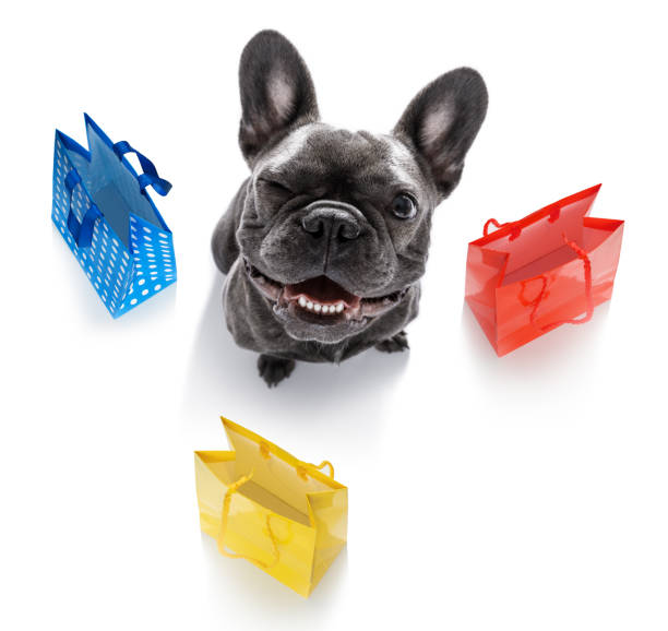 istock sale shopping dog 1280905577
