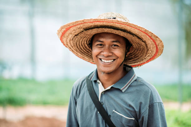 Portrait of asian smiling male farmer looking at camera at the greenhouse front view shot of farmer long sleeved recreational pursuit horizontal looking at camera stock pictures, royalty-free photos & images