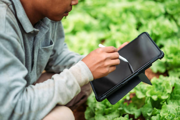 istock Asian smiling male farmer using digital tablet at greenhouse 1280906413