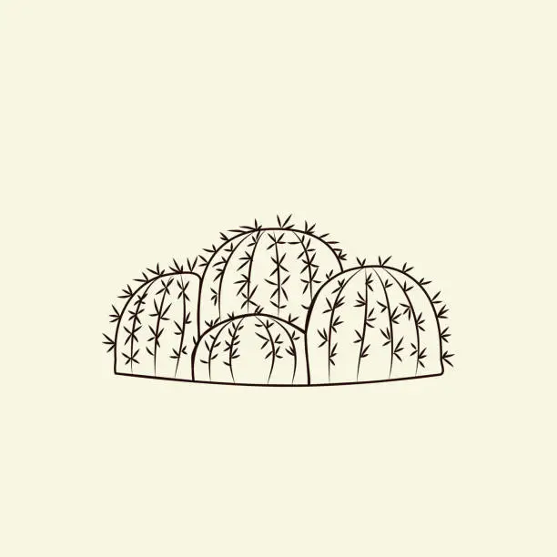 Vector illustration of Parodia cactus isolated on light background in hand drawn style. Wild cacti sketch. Engraving vintage.
