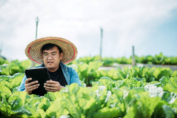 istock Asian smiling male farmer using digital tablet examining his organic farm growth 1280906925