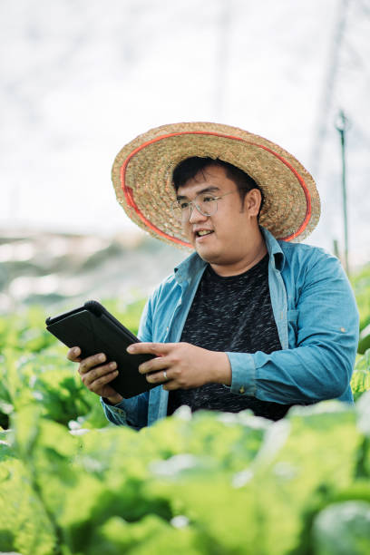 istock Asian smiling male farmer using digital tablet examining his organic farm growth 1280907052