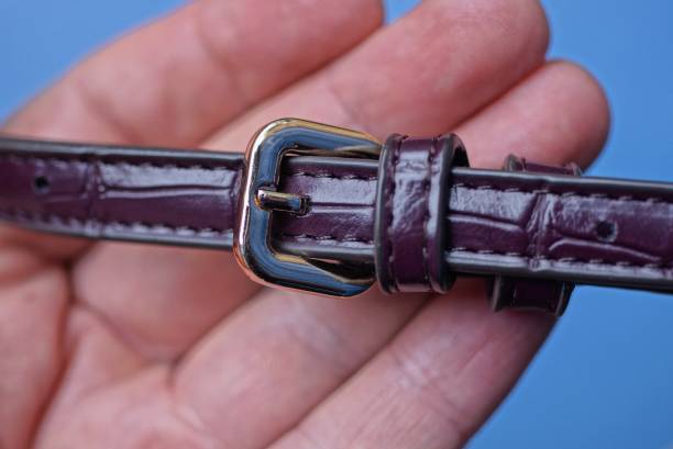 istock a red leather harness with a gray metal fastener 1280910590