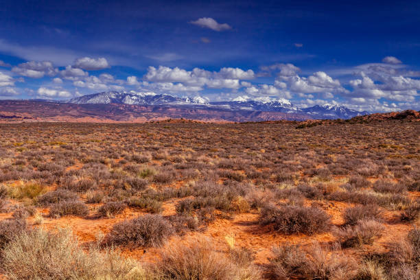 istock View in Arches National Park 1280913007