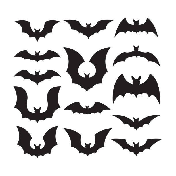 ilustraciones, imágenes clip art, dibujos animados e iconos de stock de iconos de murciélagos - bat halloween silhouette wing