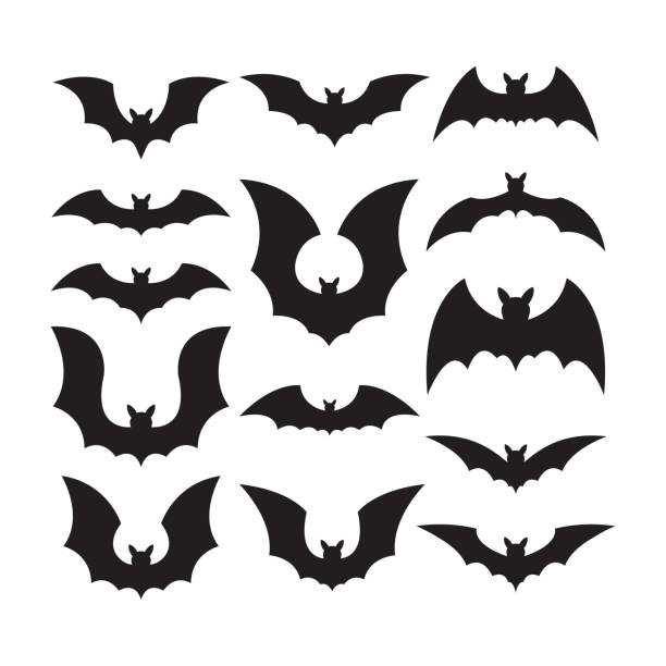 ilustrações de stock, clip art, desenhos animados e ícones de bat icons - bat animal flying mammal