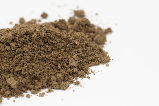 istock Dirty earth on white background. Natural soil texture 1280915174