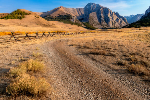 dirt and gravel road leads you deep into the mountains of idaho - dirtroad imagens e fotografias de stock