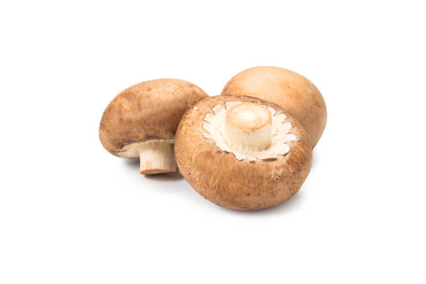 istock Tasty mushroom isolated on white background. 1280918731