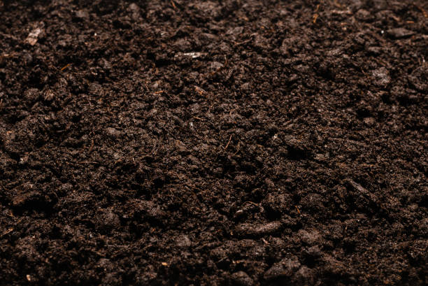 istock Black land for plant background. 1280918765