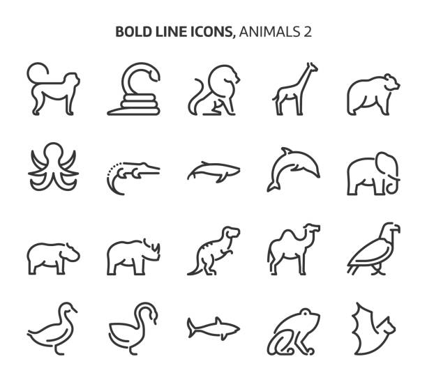 Animals, bold line icons Animals, bold line icons. The illustrations are a vector, editable stroke, 48x48 pixel perfect files. Crafted with precision and eye for quality. crocodile stock illustrations