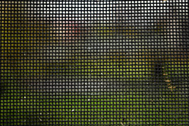 istock abrasive mesh on the background of the garden 1280921837