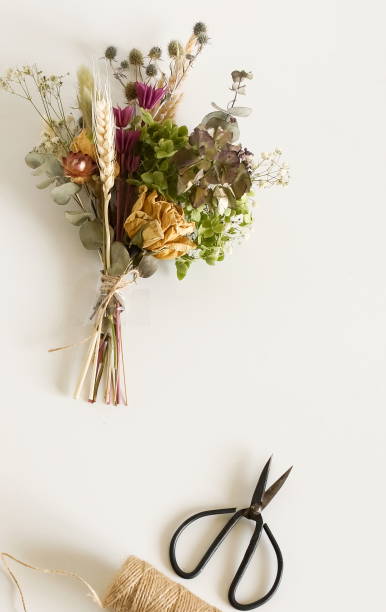 istock Dried flowers and herbs bouquets for making decoration flat lay on white background. Framing dried plants. Top view. Hobby handmade with flowers. 1280921894