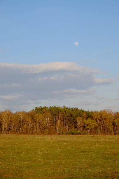 istock Cloudy evening sky over a beautiful autumn forest. Landscape. 1280922092