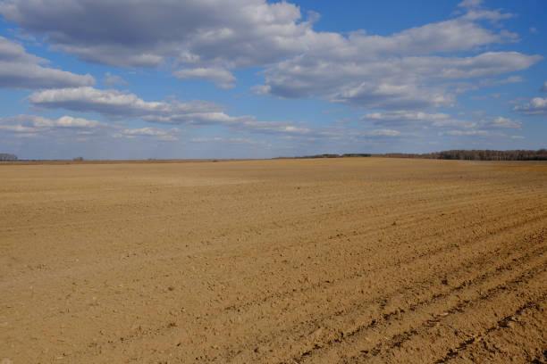 istock A plowed agricultural field. Blue sky over a farm field. 1280922217