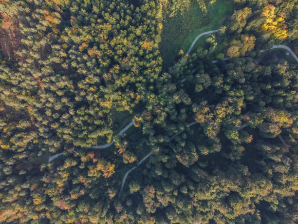 istock autumn beautiful park with trees aerial drone view 1280922318