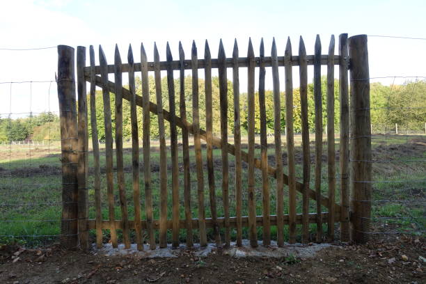 istock Wooden fence gate  Wire mesh fence of a building plot 1280923998