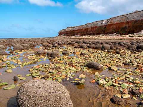 The beach at Hunstanton in Norfolk, Eastern England, at low tide. The beach is strewn with unusual round-topped and barnacle-covered rocks whilst the cliffs are striped with red carrstone and white chalk, giving a striking appearance. Hunstanton is a popular holiday destination bordering The Wash.