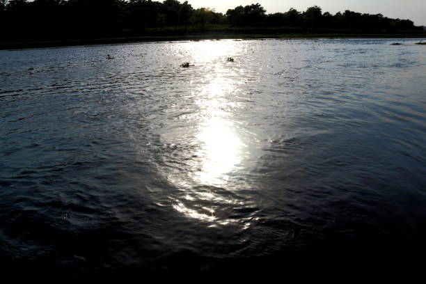 istock Glimpse of Chitwan National Park 1280925211
