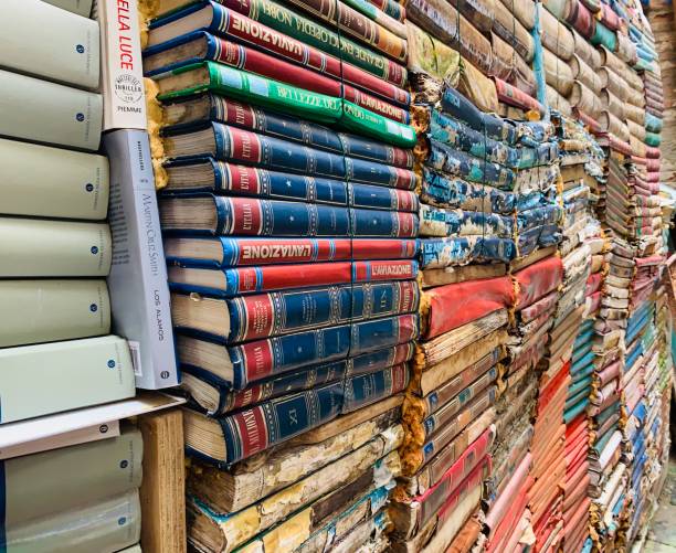 istock Stacks of damaged, wet books 1280926412