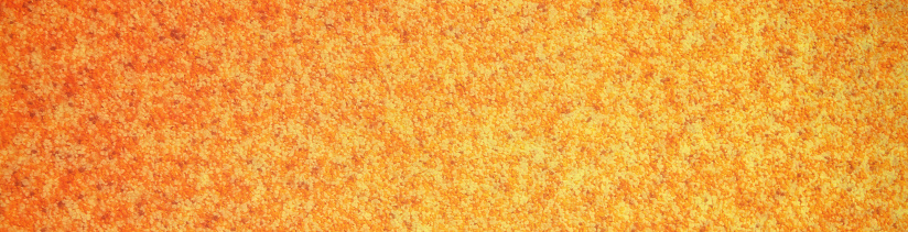 Panorama background with abstract orange dotted fine texture.