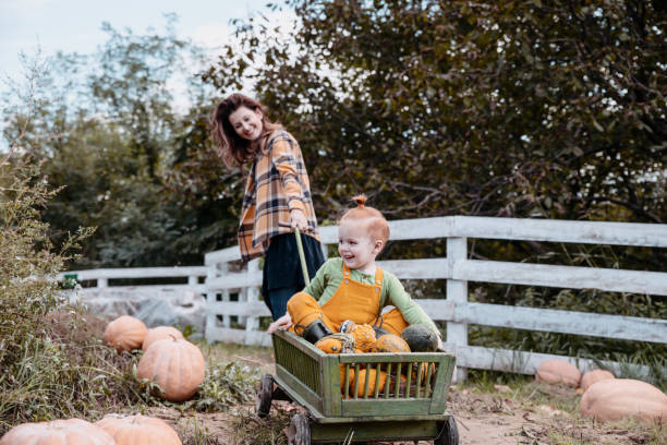 istock Family Enjoy a Day at the Pumpkin Patch 1280928940