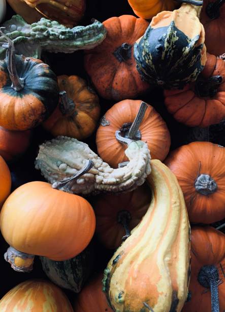 istock Collection of gourds 1280929465