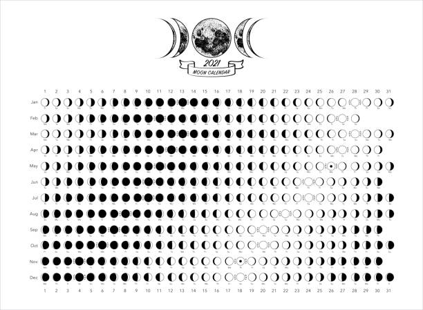 ilustraciones, imágenes clip art, dibujos animados e iconos de stock de 2021 fases lunares calendario carta vectorial de astronomía blanca - almanaque