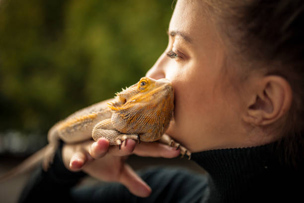 Reptile Love Serbia, 25-29 Years, 30-34 Years, Adult, Adults Only reptile stock pictures, royalty-free photos & images